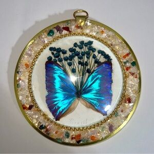 Vintage Brazil Butterfly Taxidermy Wall Art